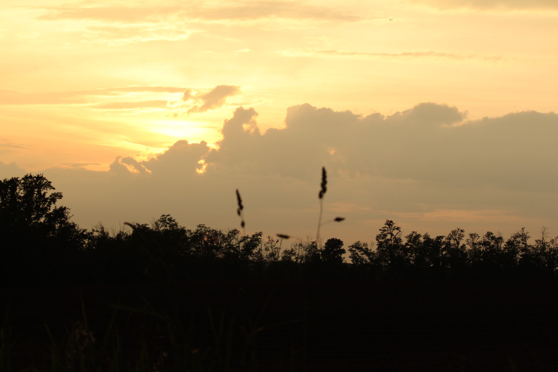 Canon EF-S 55-250mm F4-5.6 IS STM sample photo