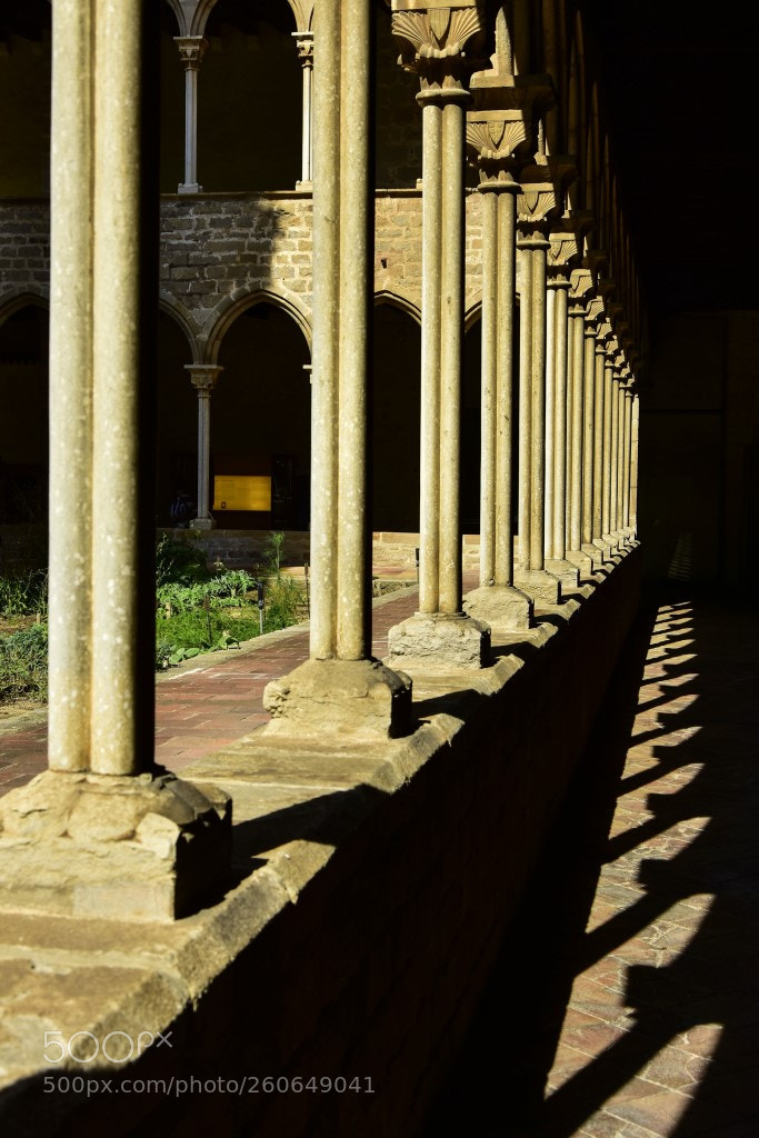 Nikon D7200 sample photo. Claustro photography