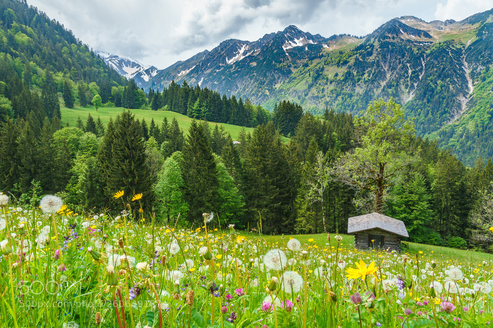 Sony a7 II sample photo. Gerstruben, allg u near photography