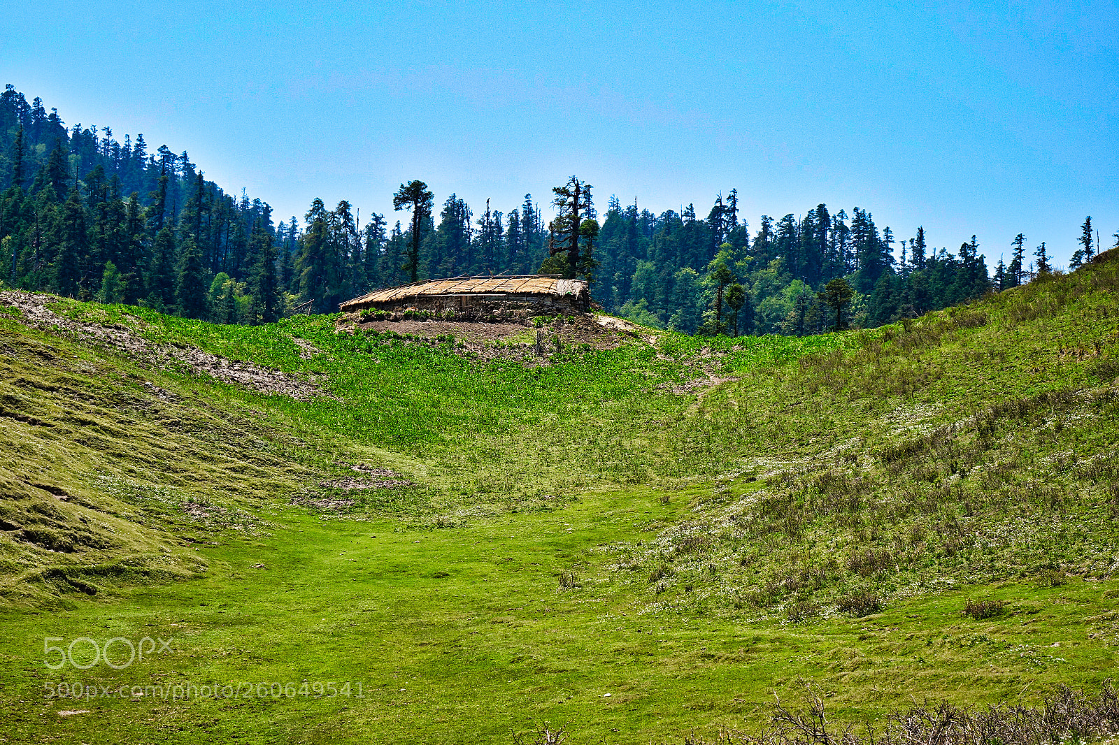 Sony Cyber-shot DSC-RX10 sample photo. #khaptad photography