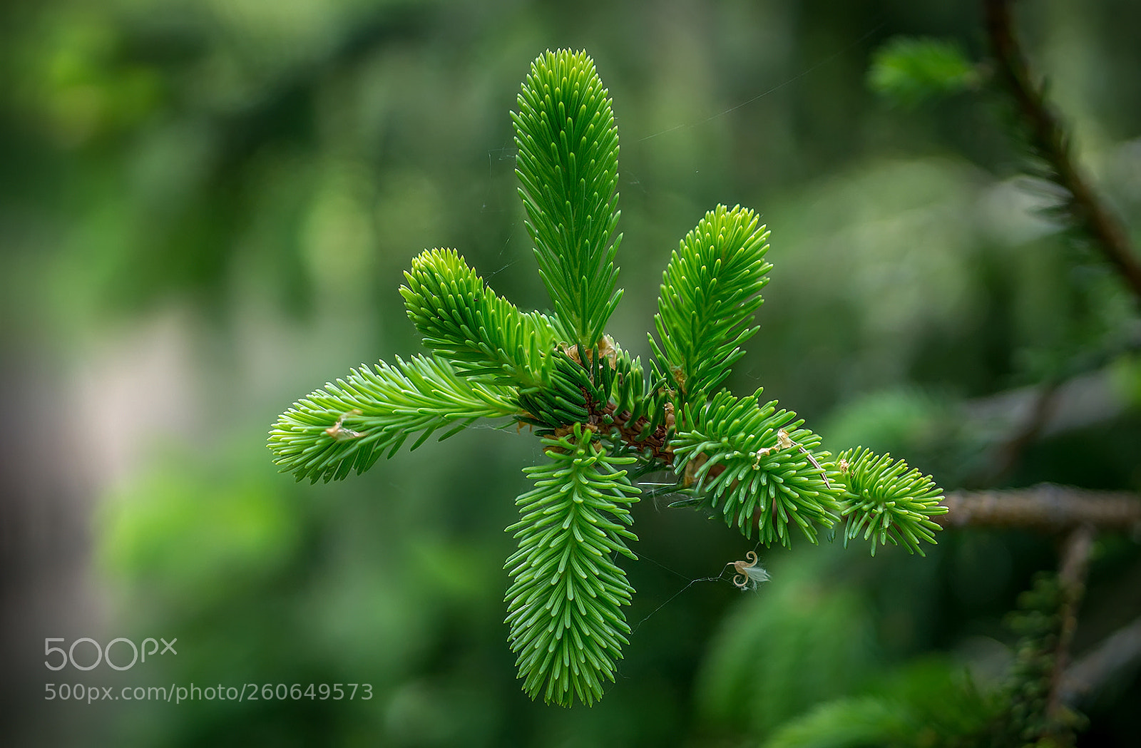 Sony a6000 sample photo. *** photography