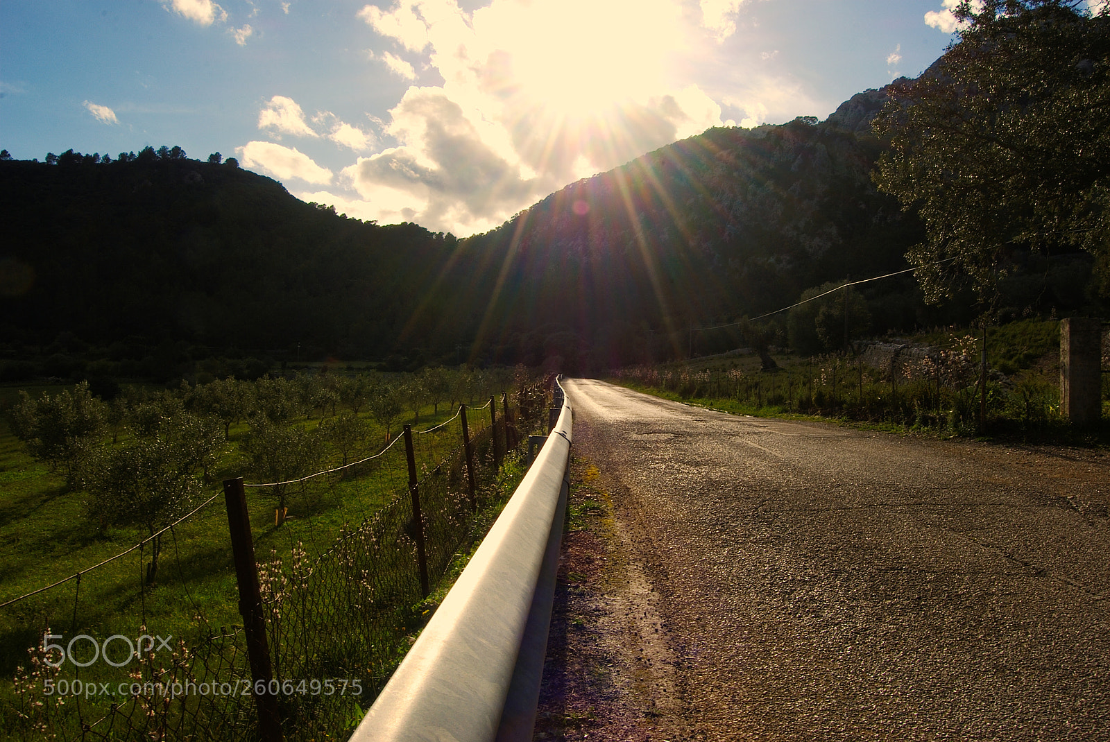Nikon D60 sample photo. Sunny country road photography