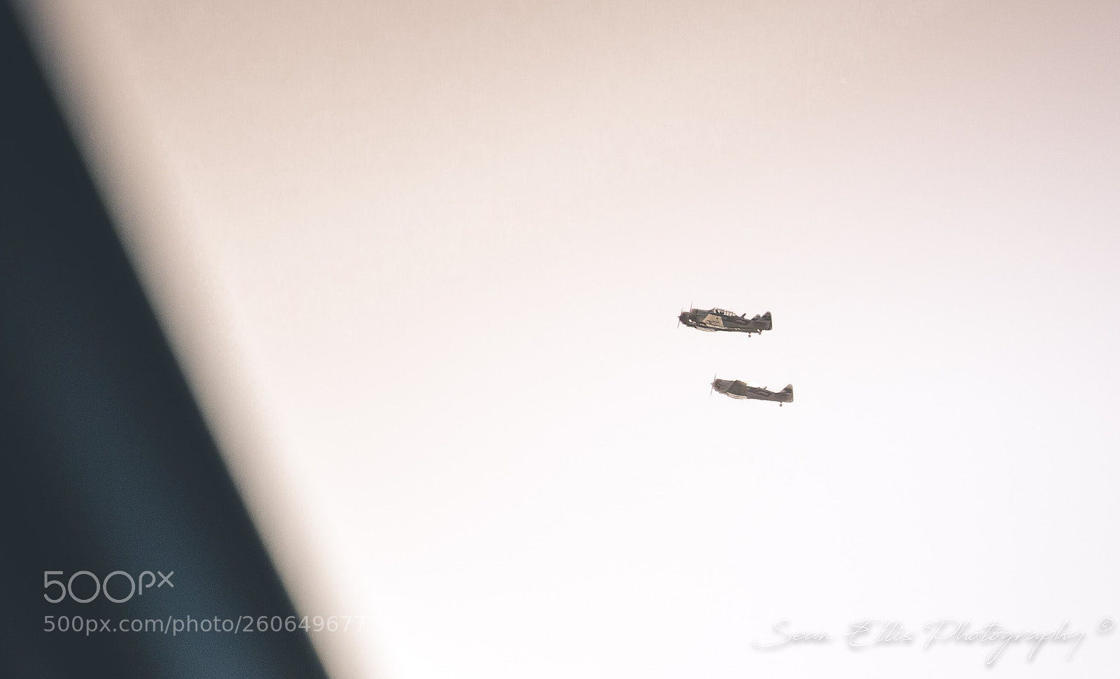Nikon D7000 sample photo. Take flight photography
