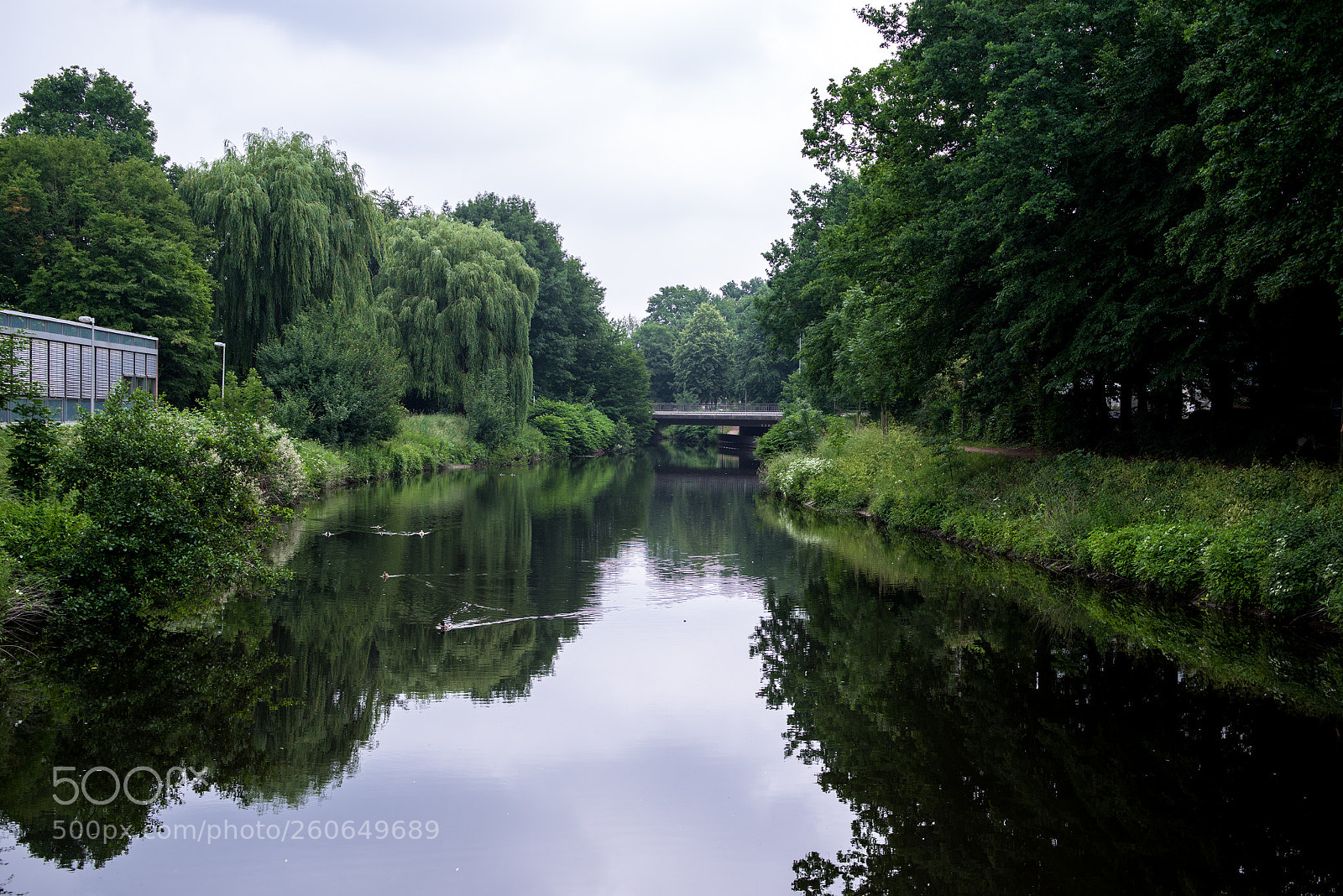 Pentax K-1 sample photo. River and nature photography