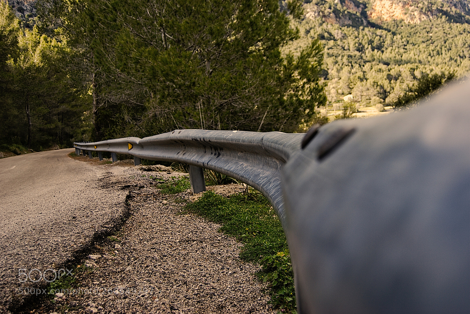 Nikon D60 sample photo. Untitled photography