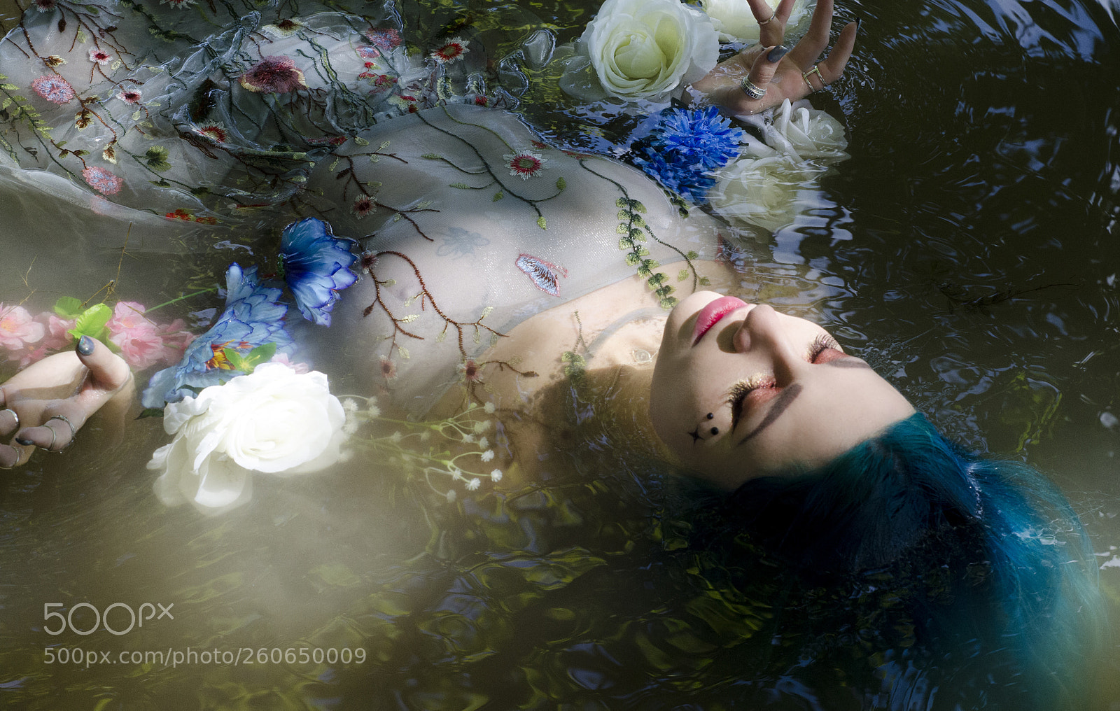 Nikon D7000 sample photo. Ophelia photography