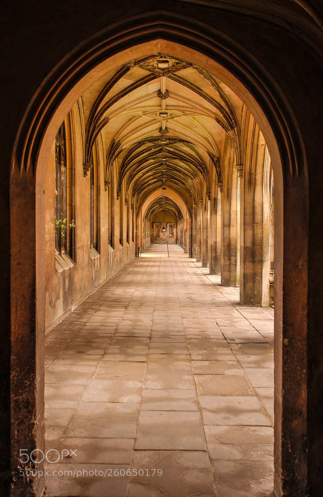 Nikon D80 sample photo. Hallway in magdalen college photography
