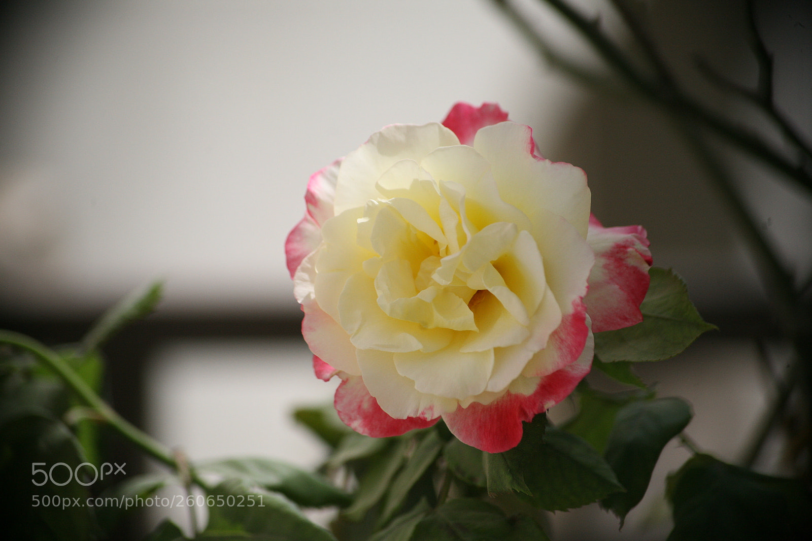 Canon EOS 5D sample photo. Img photography