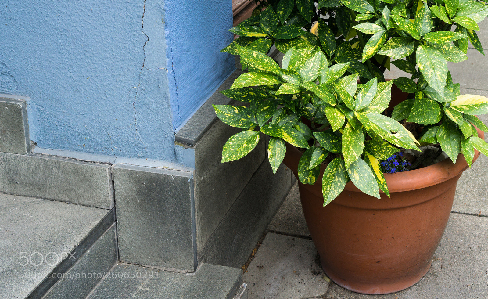 Sony a6000 sample photo. Beauty on the door photography