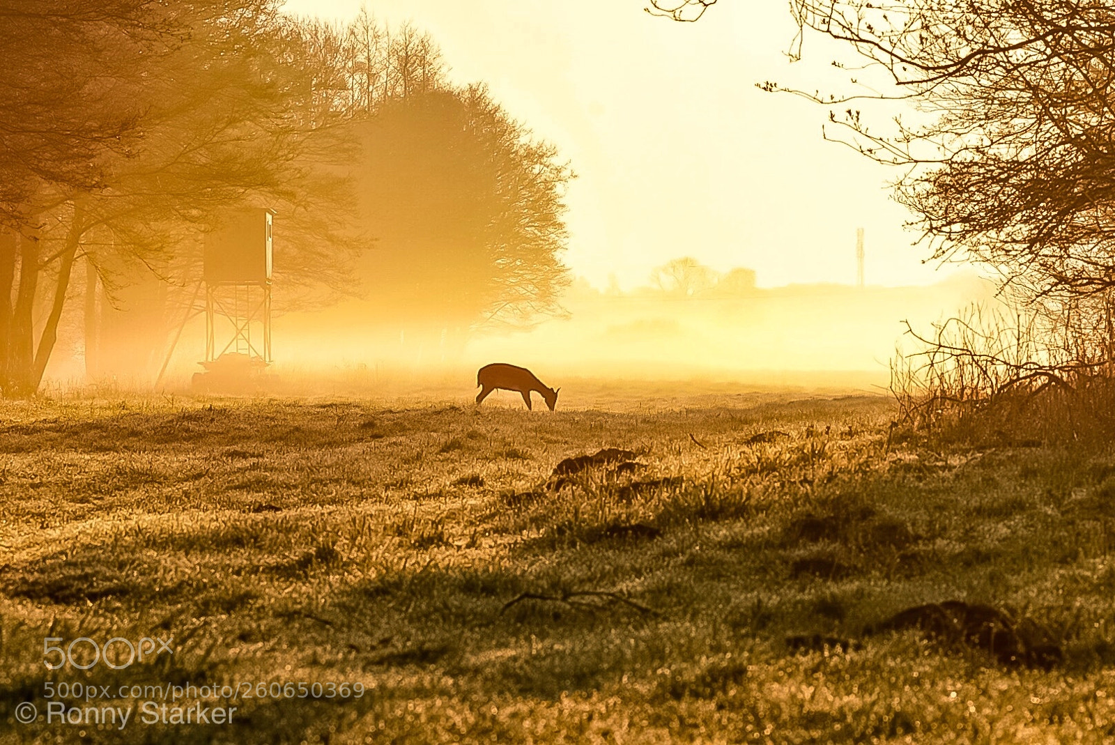 Sony a6500 sample photo. In the morning photography