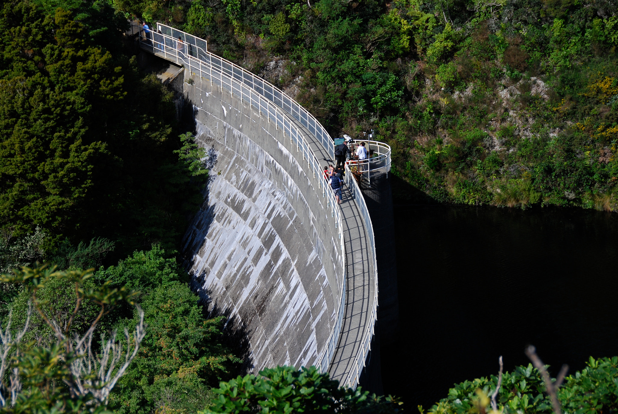 Nikon D80 sample photo. Upper dam at zealandia.  wellington.  new zealand. photography