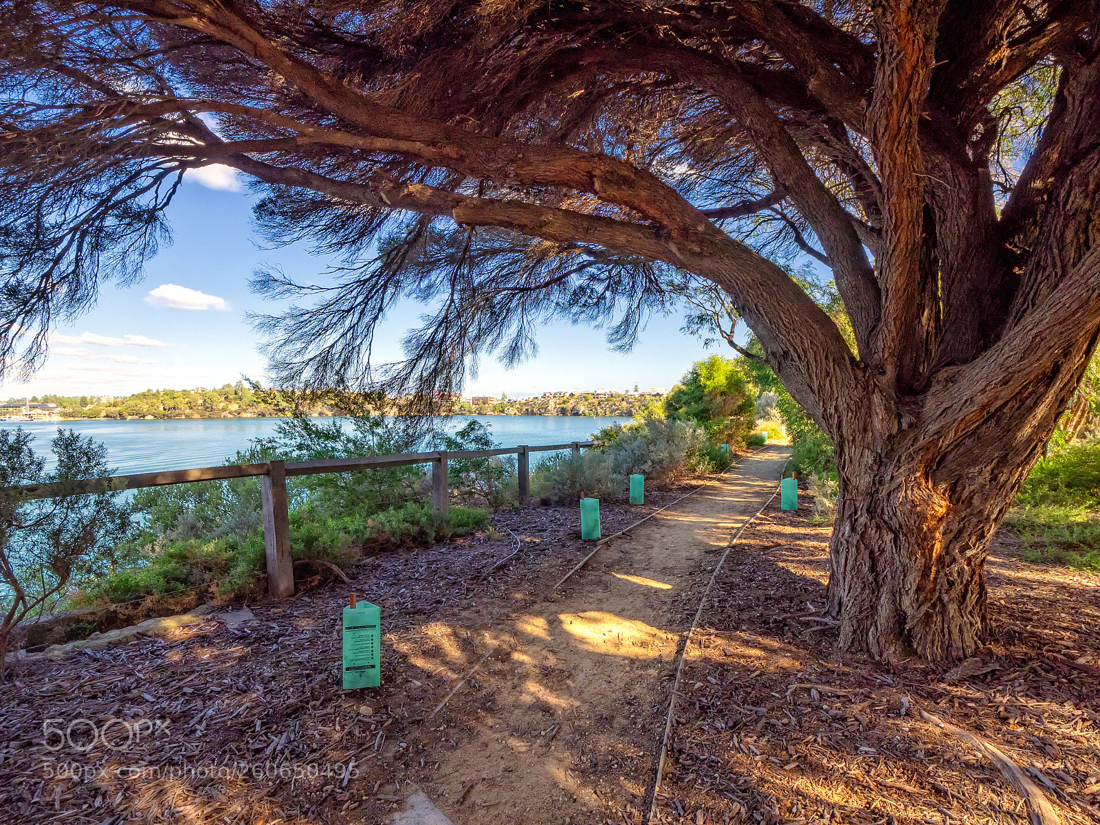 Olympus OM-D E-M1 sample photo. Minim cove to rocky photography