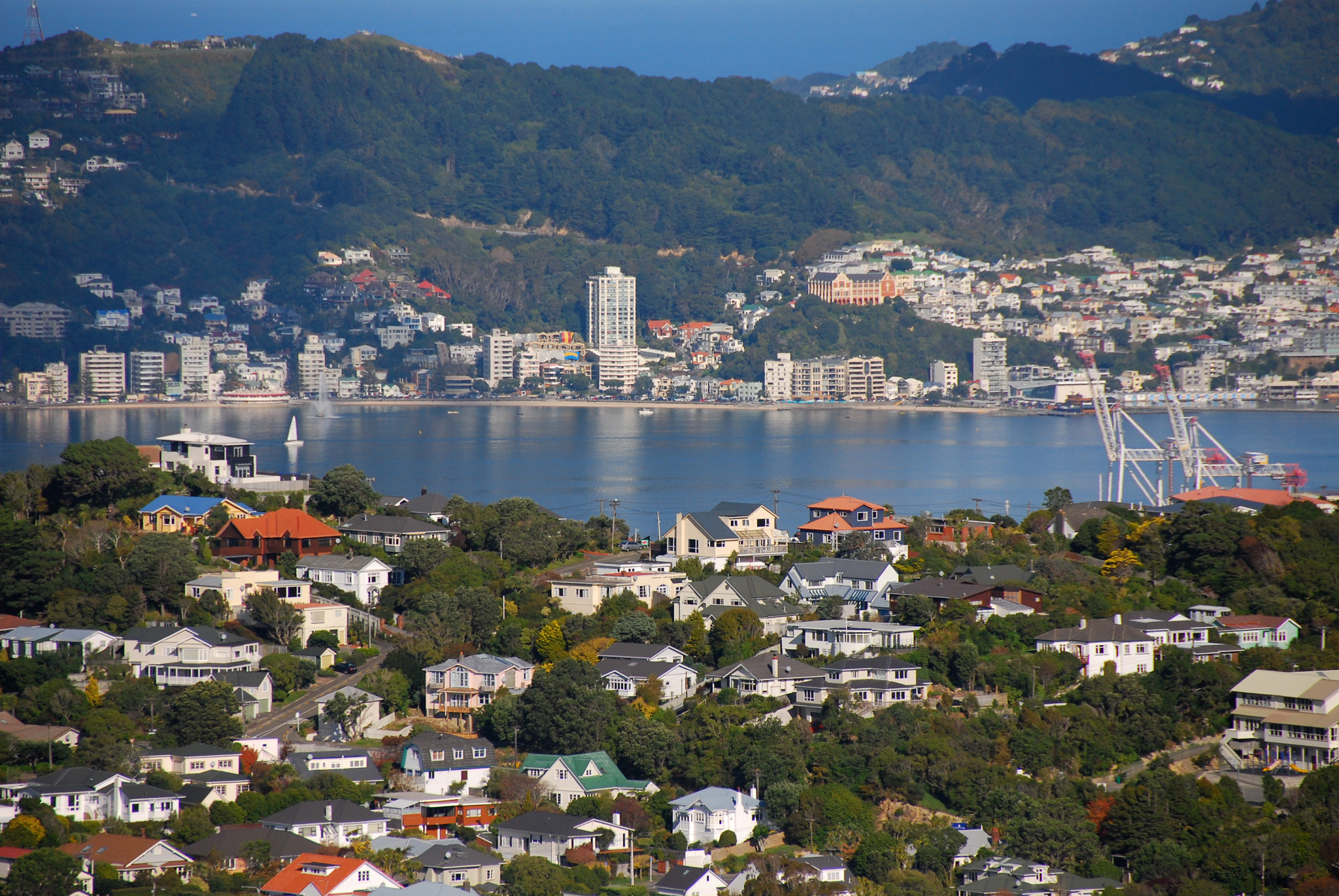 Nikon D80 sample photo. Wellington from mt kaukau photography