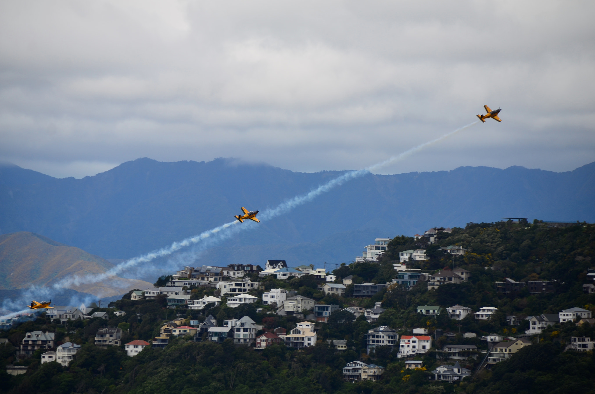 Nikon D7000 sample photo. Red checkers, wellington. photography