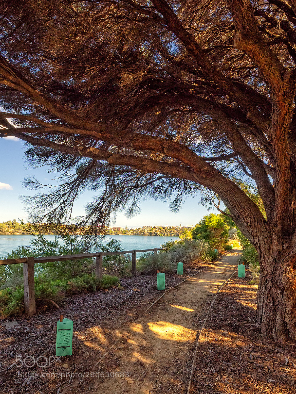 Olympus OM-D E-M1 sample photo. Minim cove to rocky photography