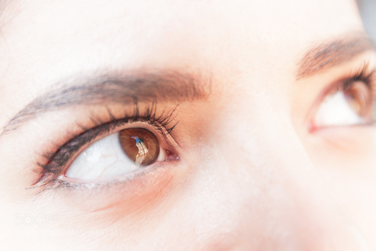 Canon EOS 70D sample photo. Close up eyes of photography