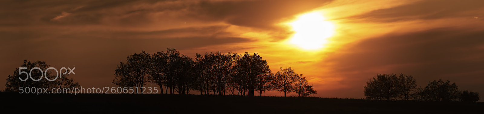 Nikon D500 sample photo. Sunset shenandoah panorama photography