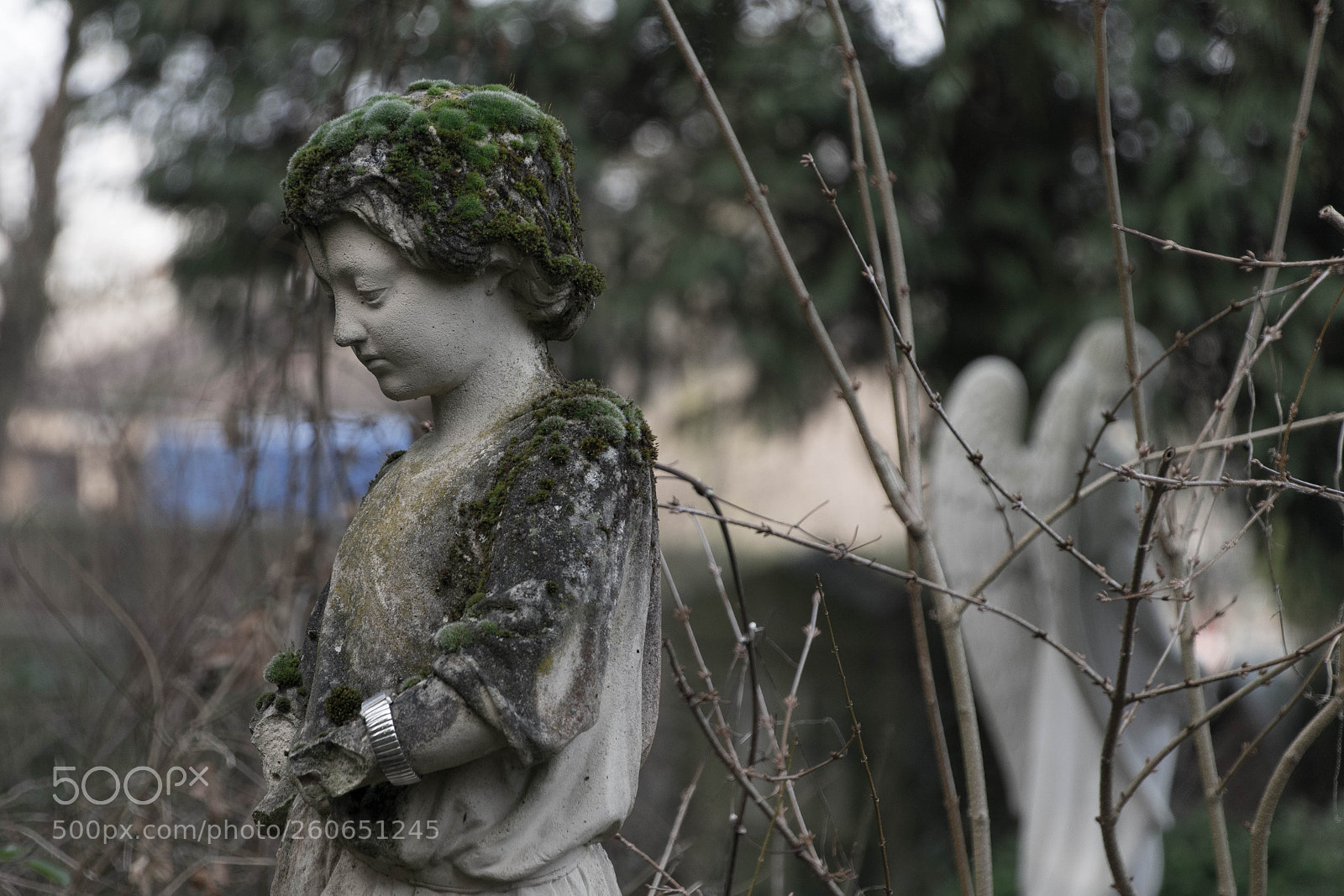 Sony a7 II sample photo. Guardian with moss photography