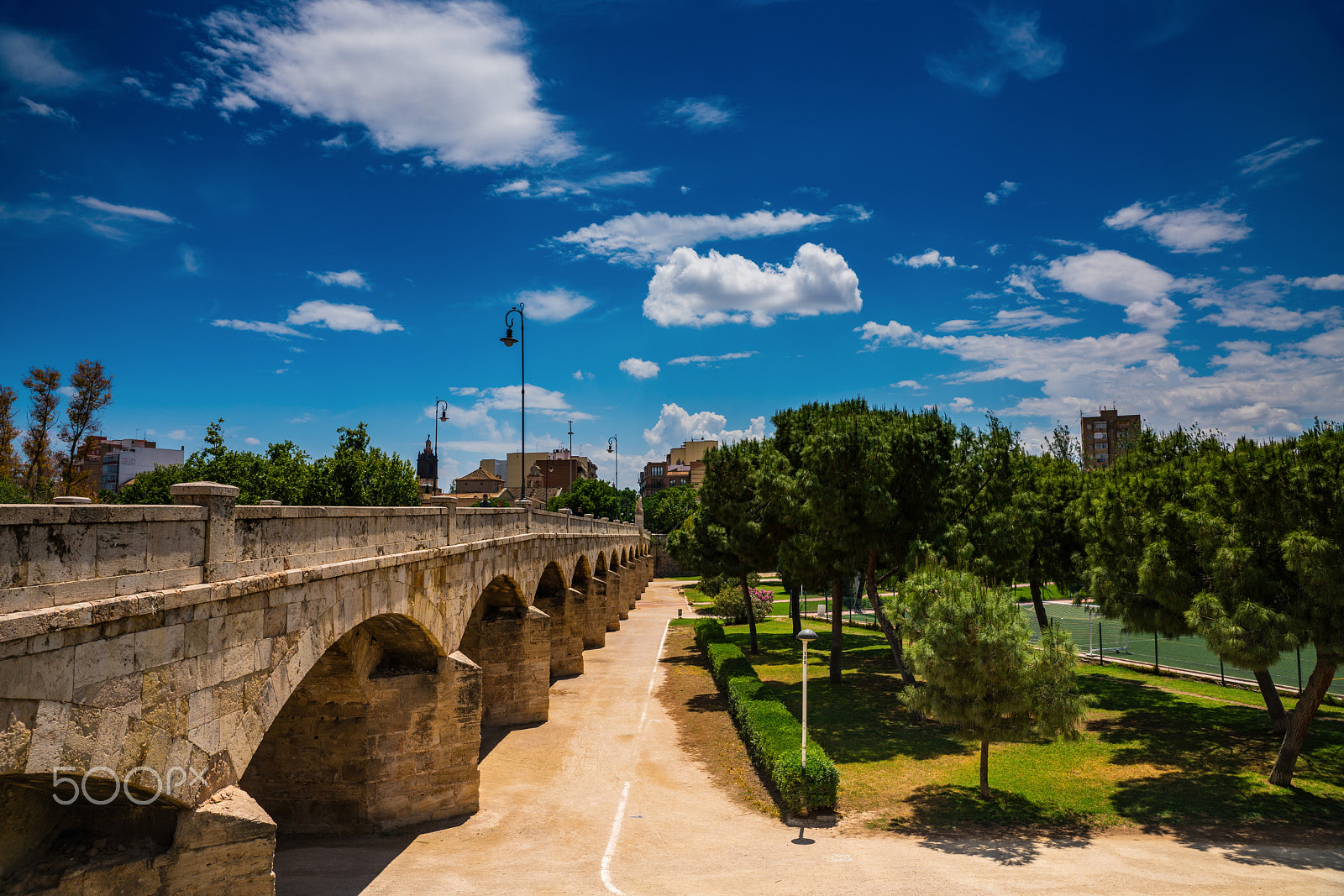 Sony a99 II sample photo. A sunny day in the turia park and flowering trees. valencia photography