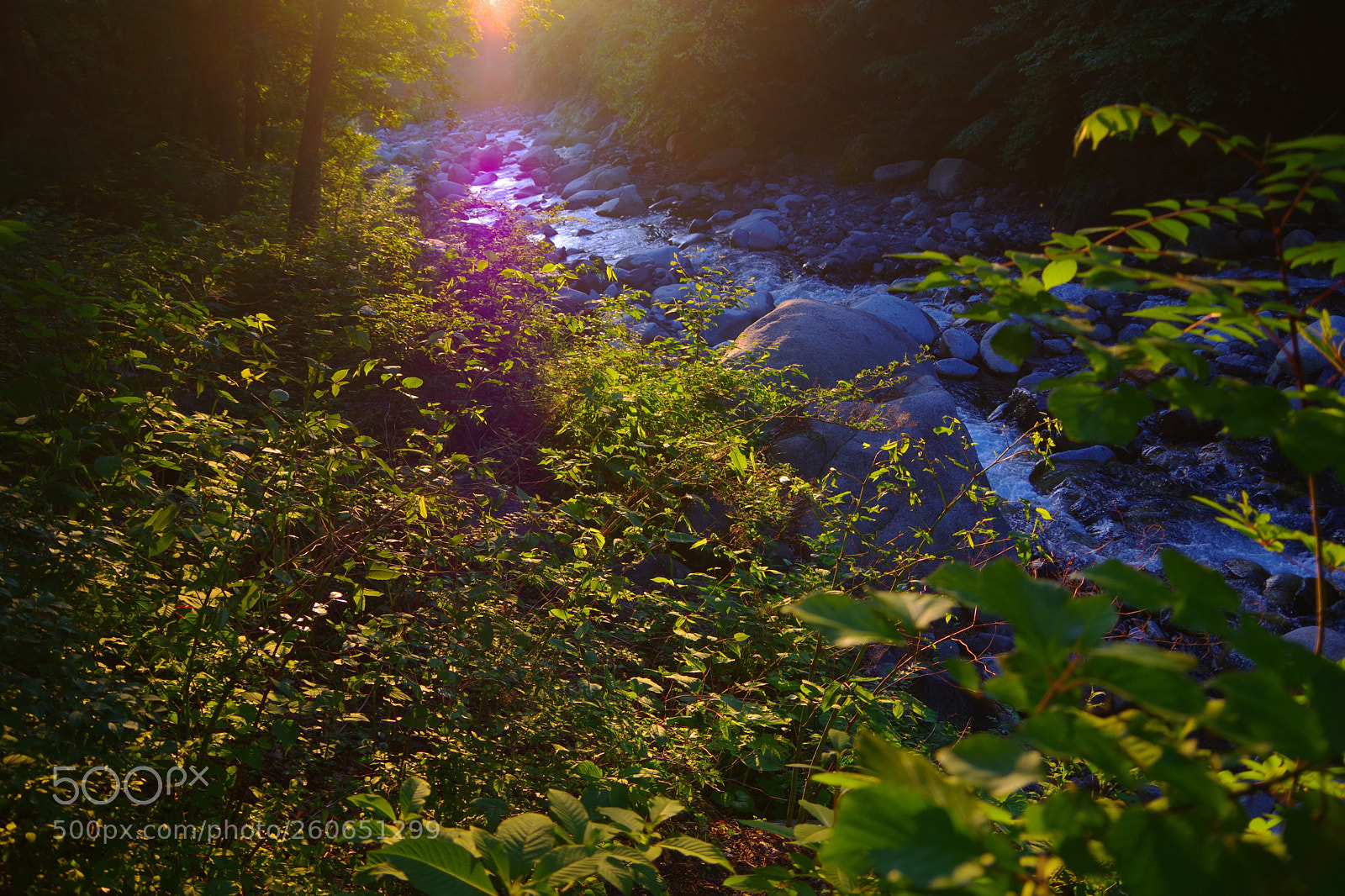 Pentax K-70 sample photo. Untitled photography