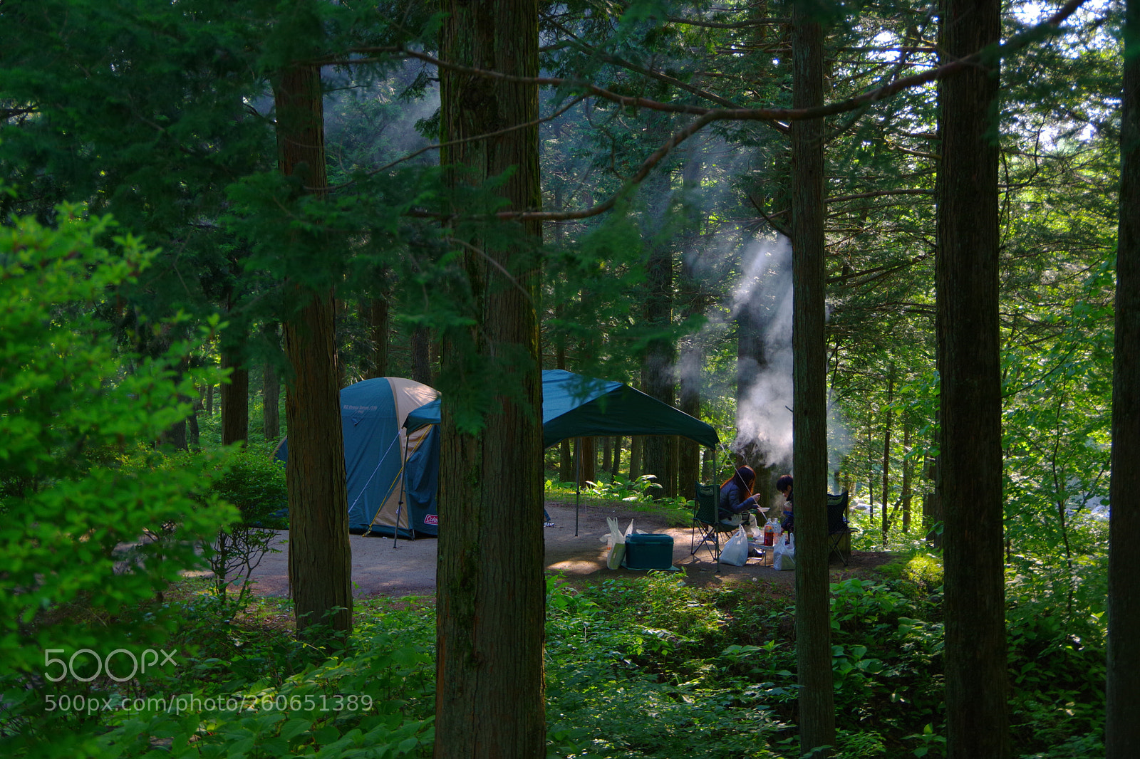 Pentax K-70 sample photo. Untitled photography