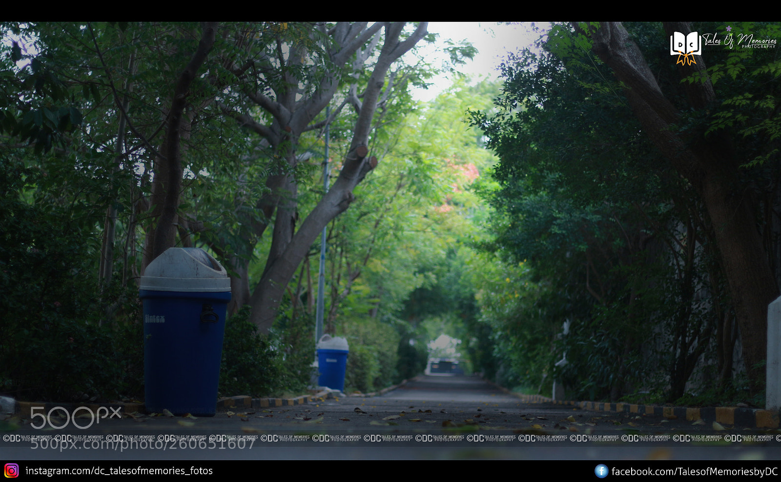 Canon EOS 700D (EOS Rebel T5i / EOS Kiss X7i) sample photo. Img photography