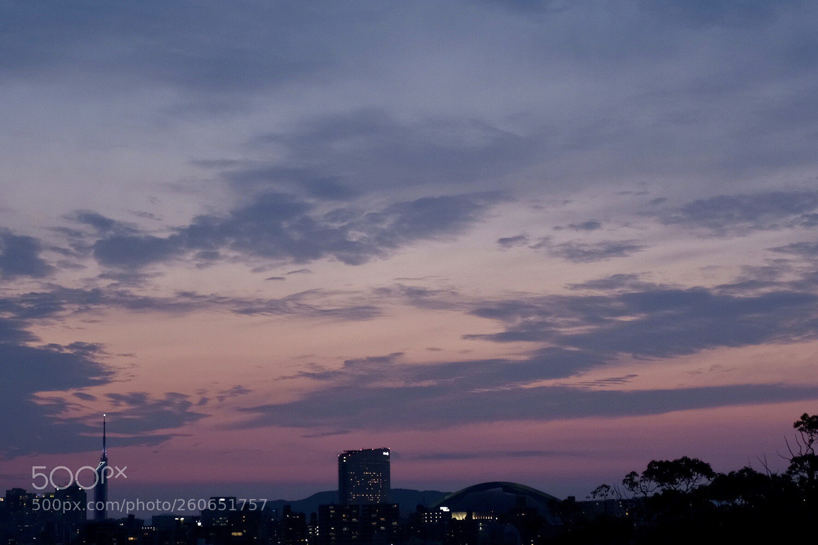 Fujifilm X100F sample photo. とてもきもちよい
 photography