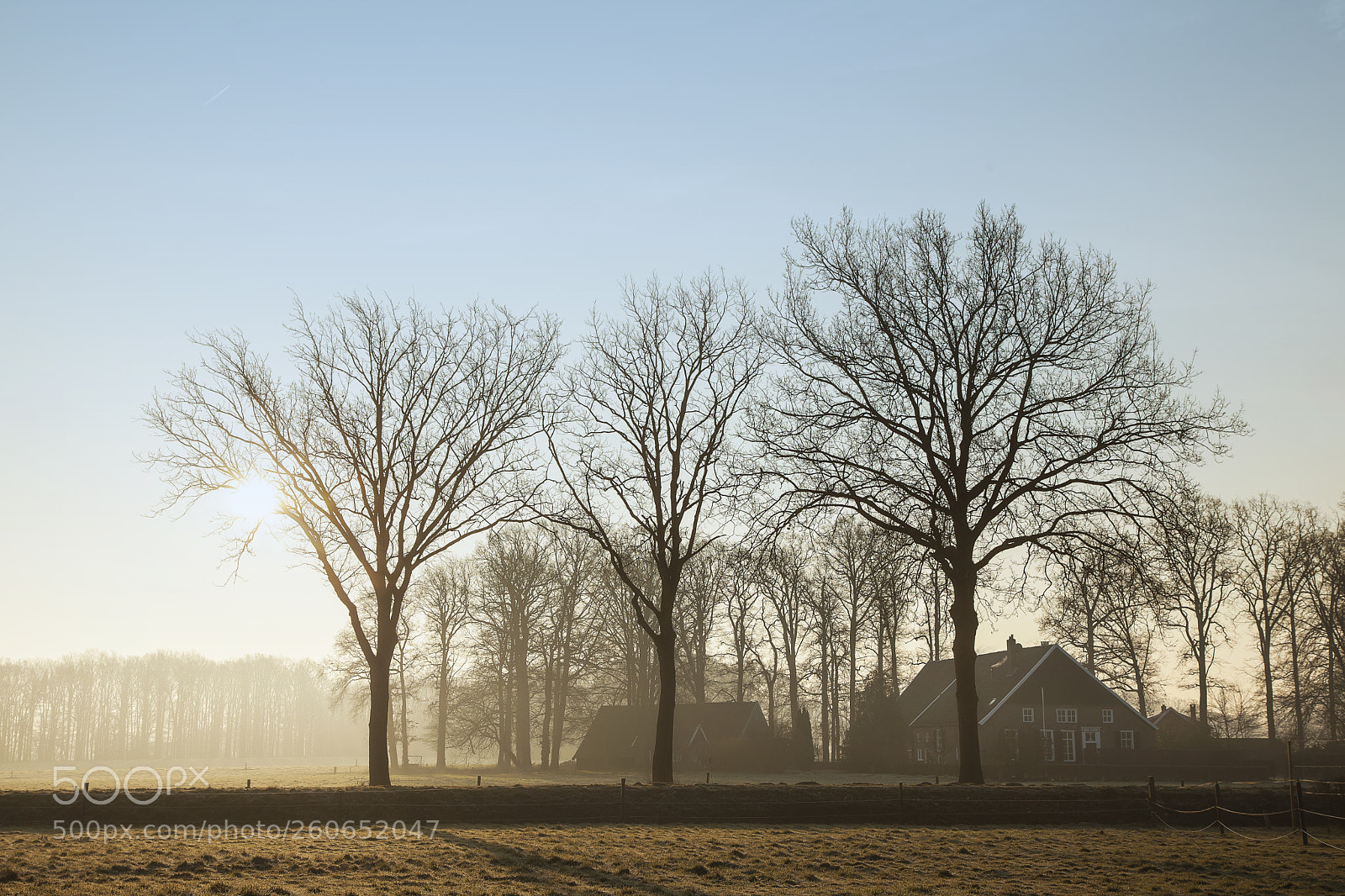 Canon EOS 5D Mark II sample photo. Sunrise winterswijk photography