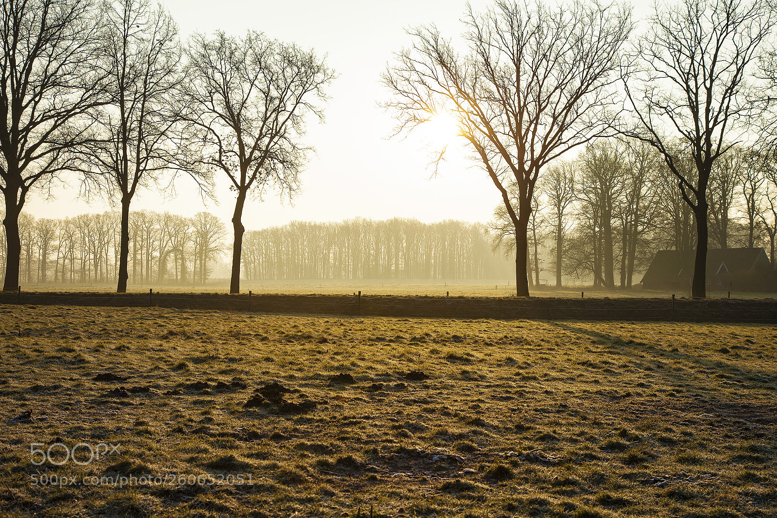 Canon EOS 5D Mark II sample photo. Sunrise winterswijk photography