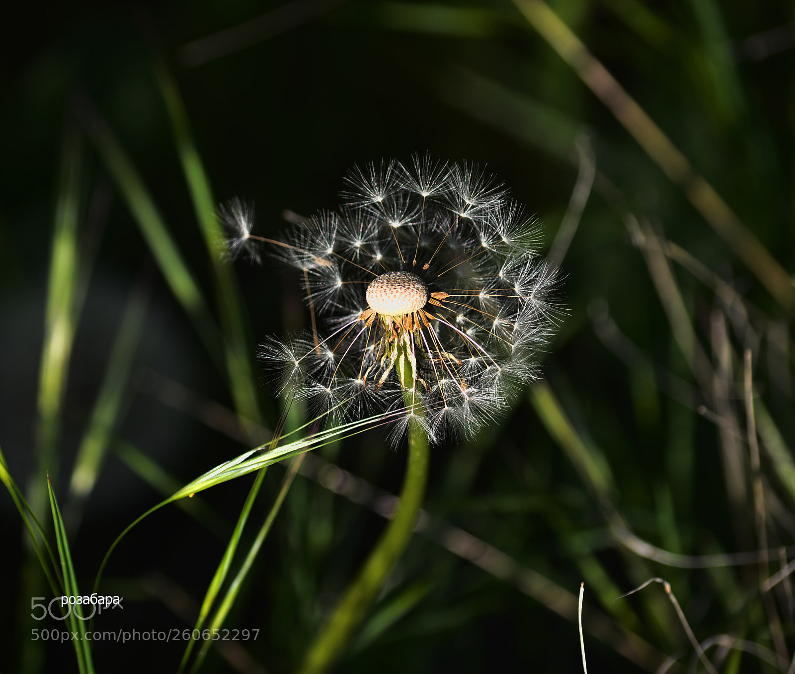 Nikon D3200 sample photo. перезагрузка.. photography