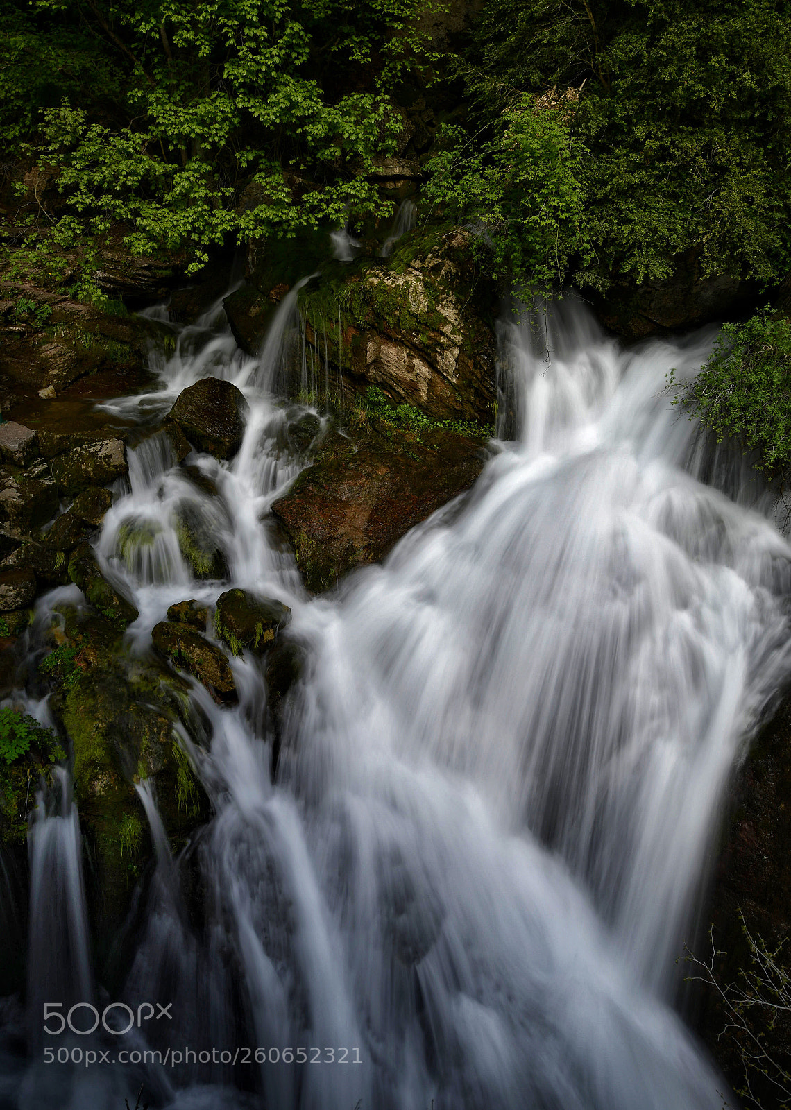 Nikon D850 sample photo. Untitled photography