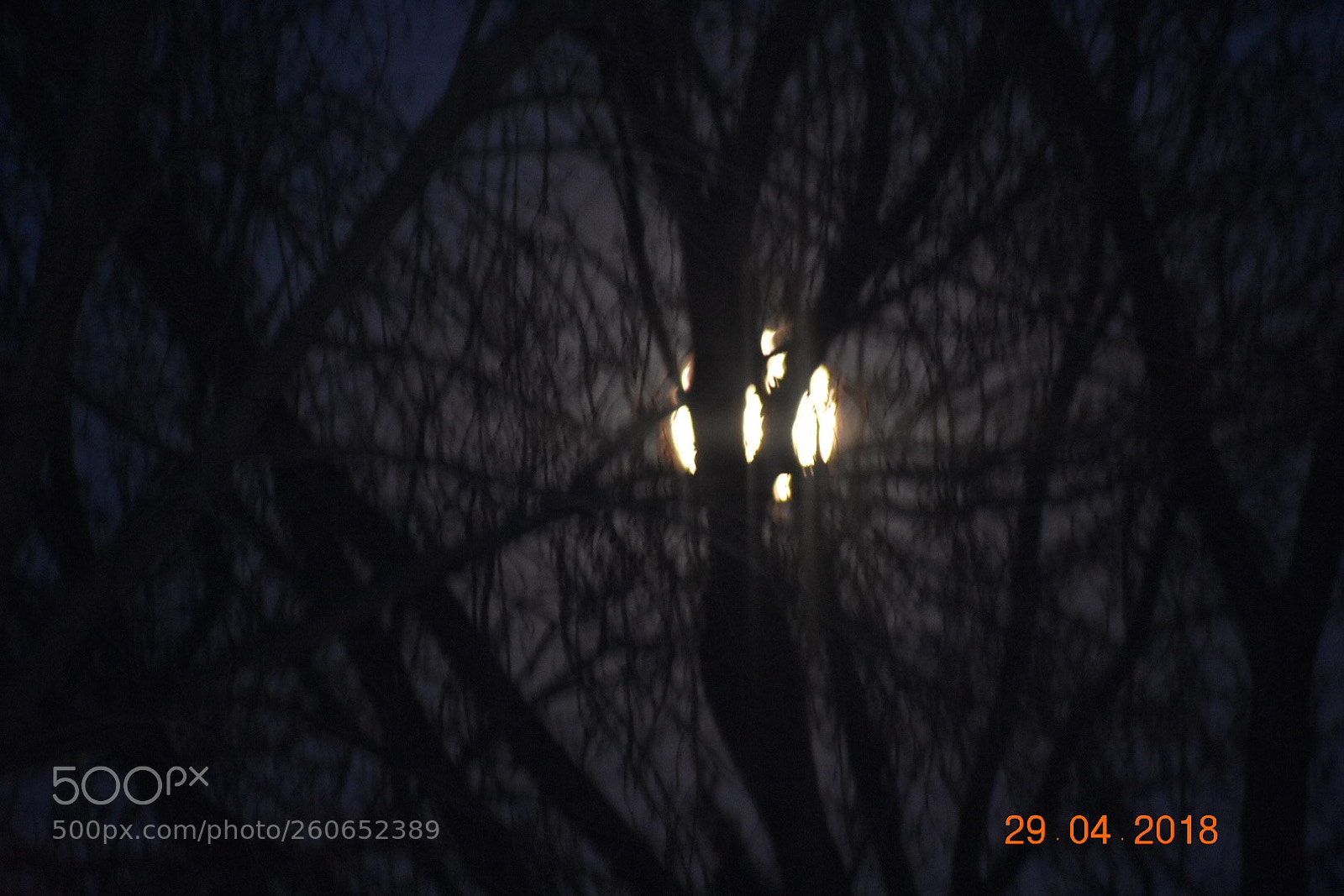 Nikon D3400 sample photo. Moon photography