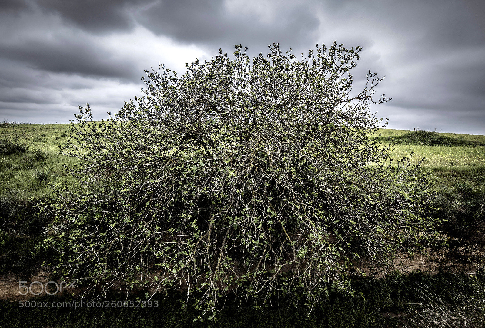 Panasonic Lumix DC-G9 sample photo. Nubes de tormenta photography