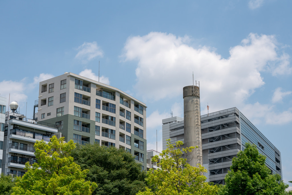 500px.comのfotois youさんによるShinjyuku Gyoen