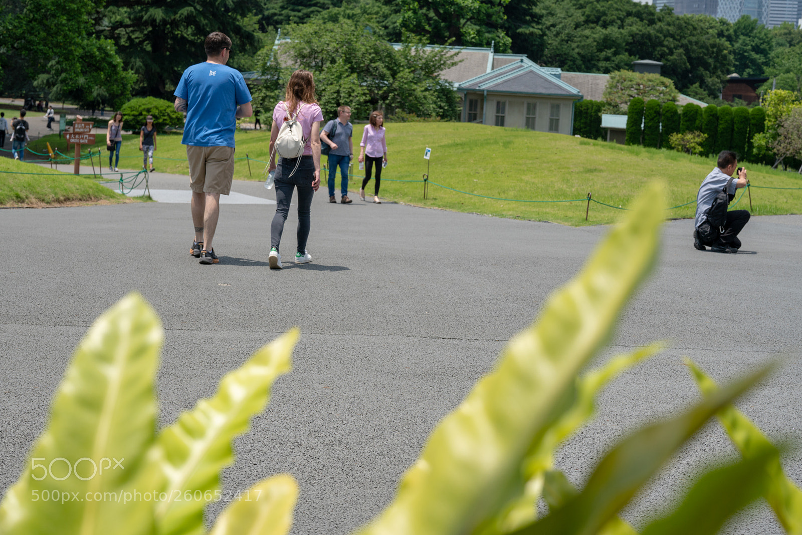 Sony a7R II sample photo. Shinjyuku gyoen photography