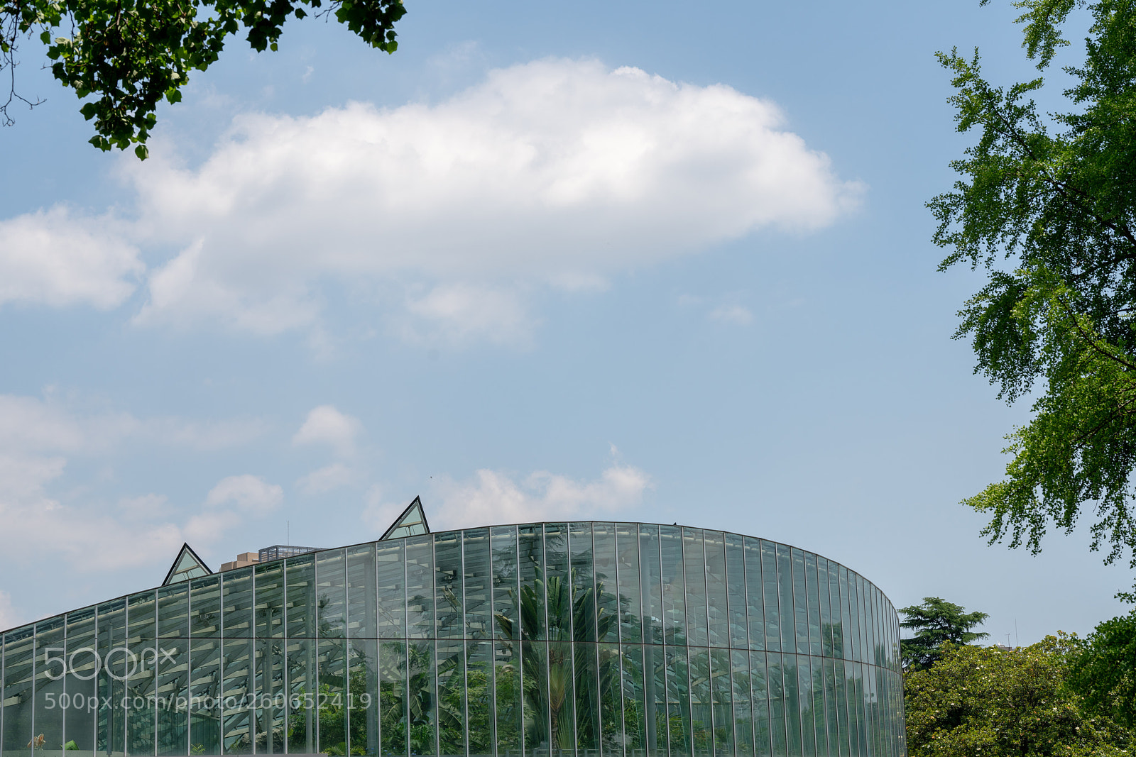 Sony a7R II sample photo. Shinjyuku gyoen photography
