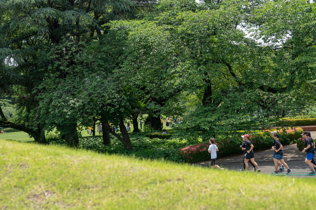 500px.comのfotois youさんによるShinjyuku Gyoen