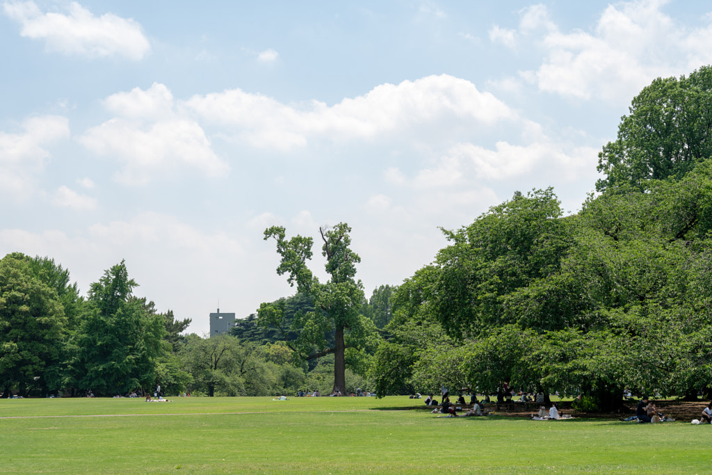 500px.comのfotois youさんによるShinjyuku Gyoen