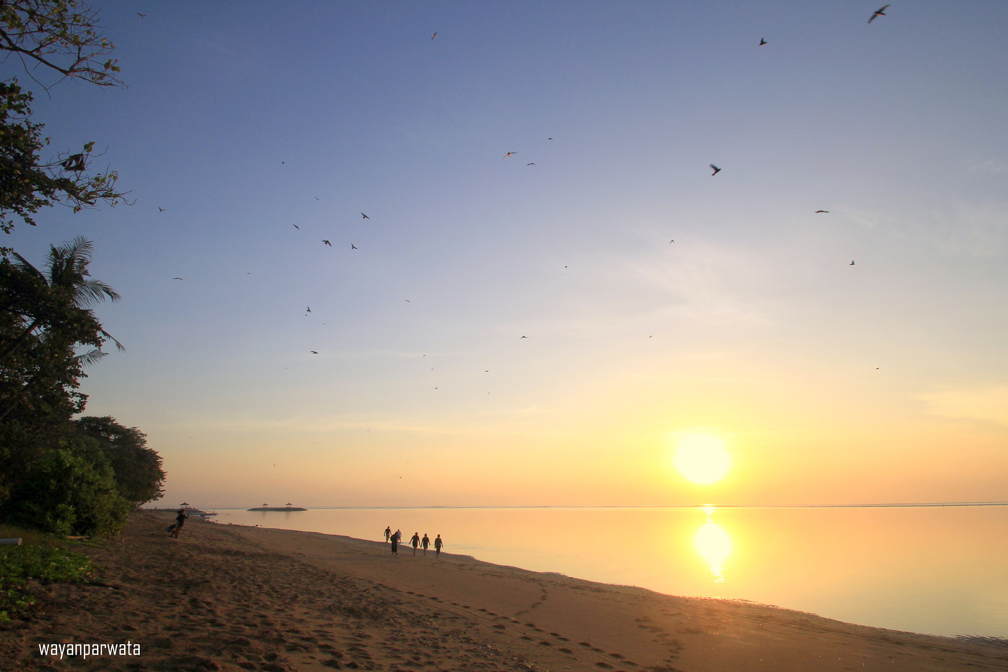 Sigma 10-20mm F3.5 EX DC HSM sample photo. Morning birds photography