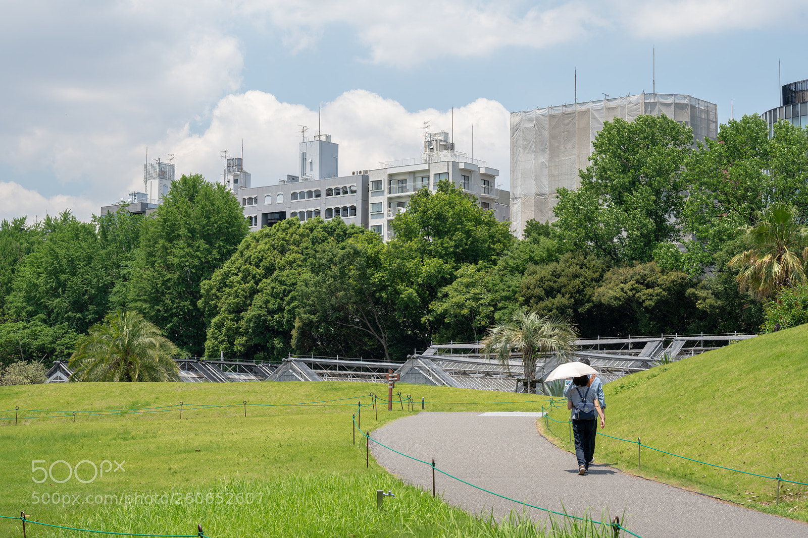 Sony a7R II sample photo. Shinjyuku gyoen photography