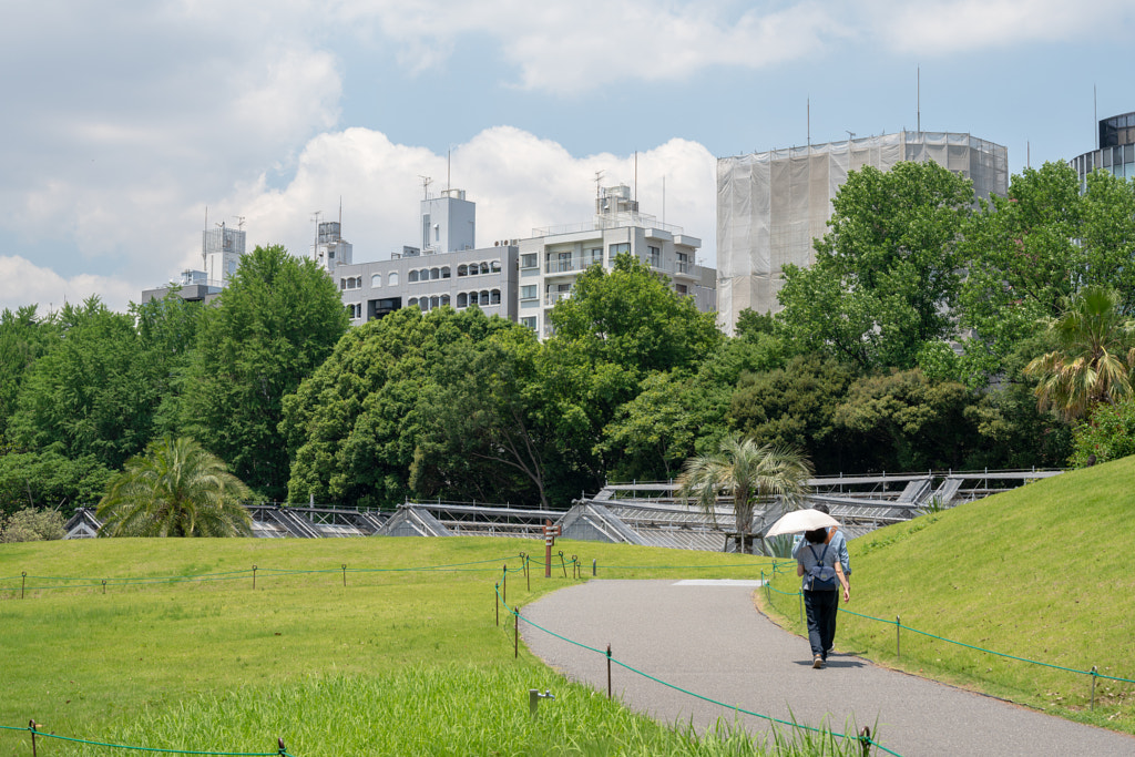 500px.comのfotois youさんによるShinjyuku Gyoen