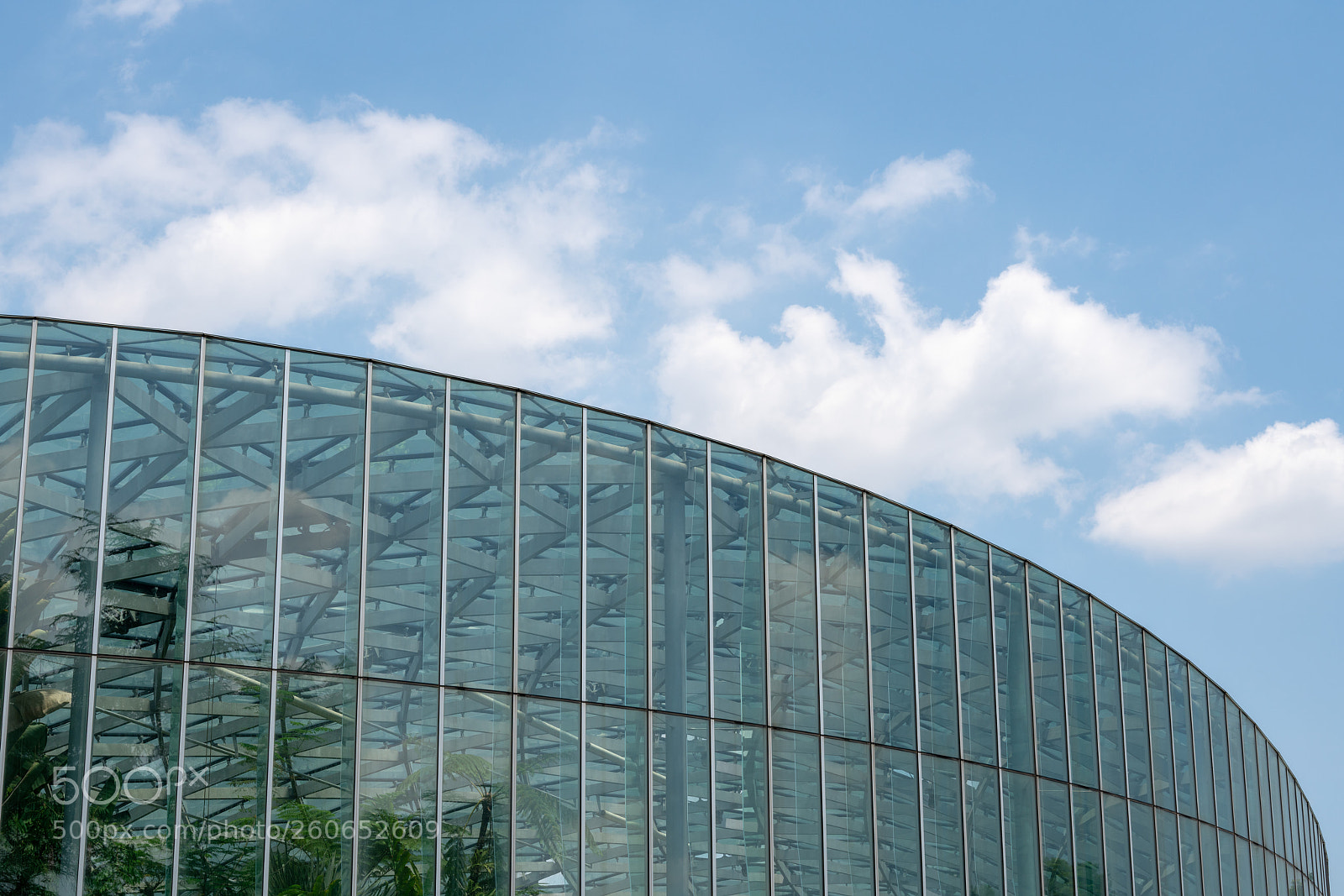 Sony a7R II sample photo. Shinjyuku gyoen photography