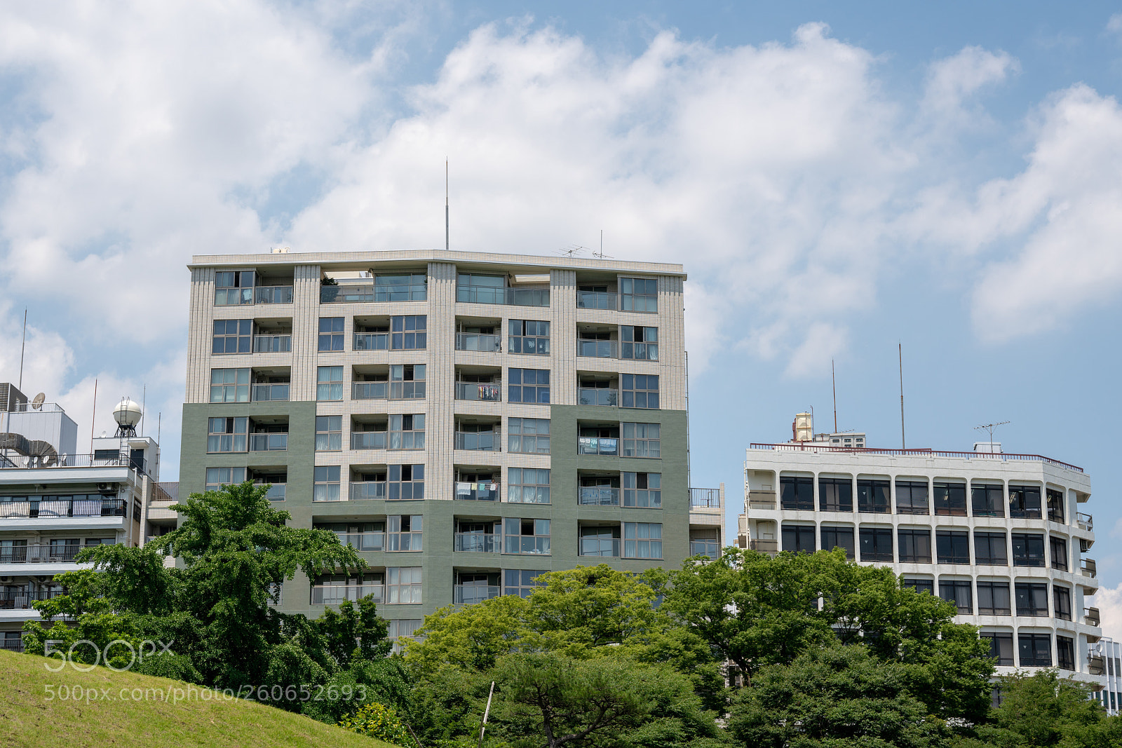 Sony a7R II sample photo. Shinjyuku gyoen photography