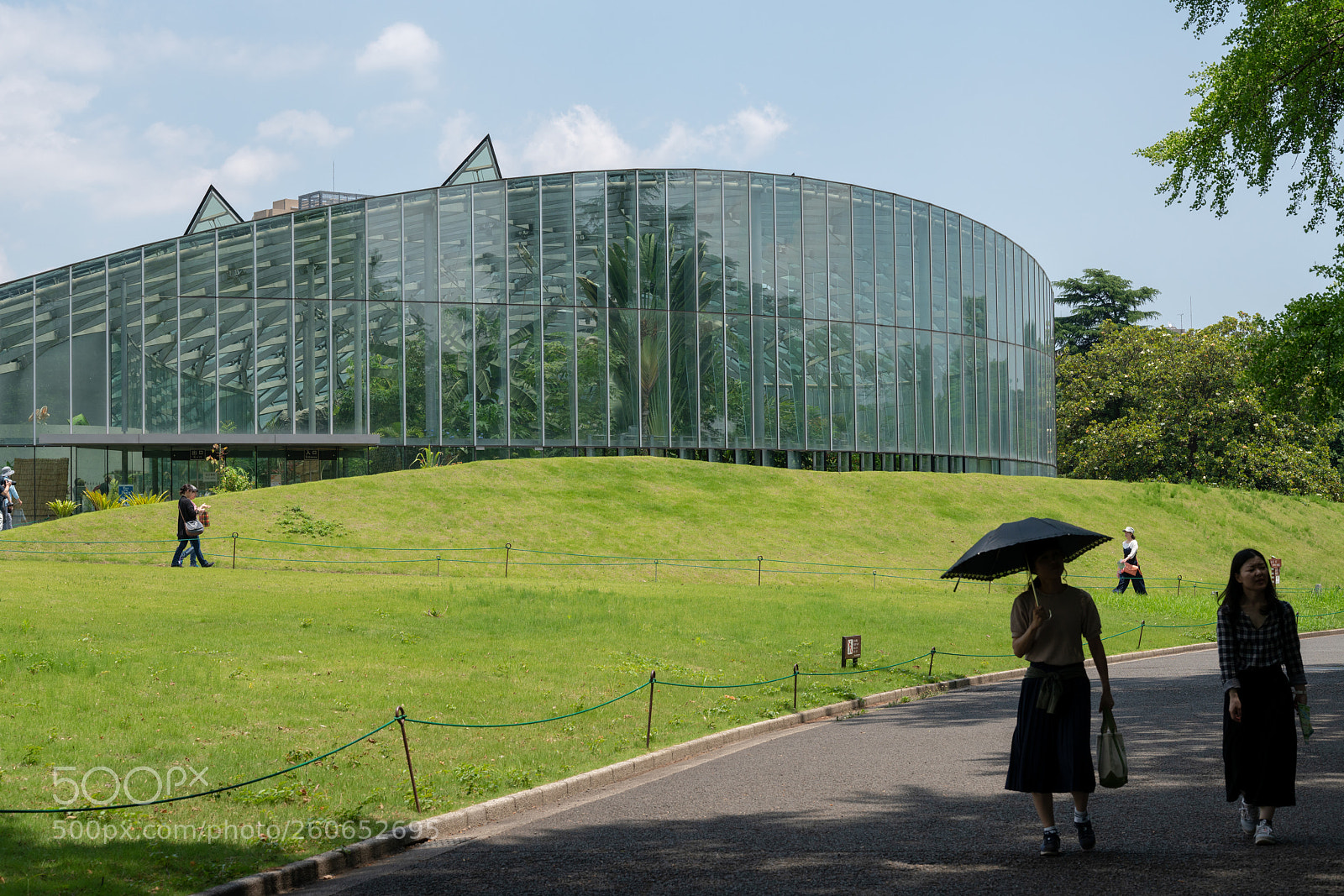Sony a7R II sample photo. Shinjyuku gyoen photography