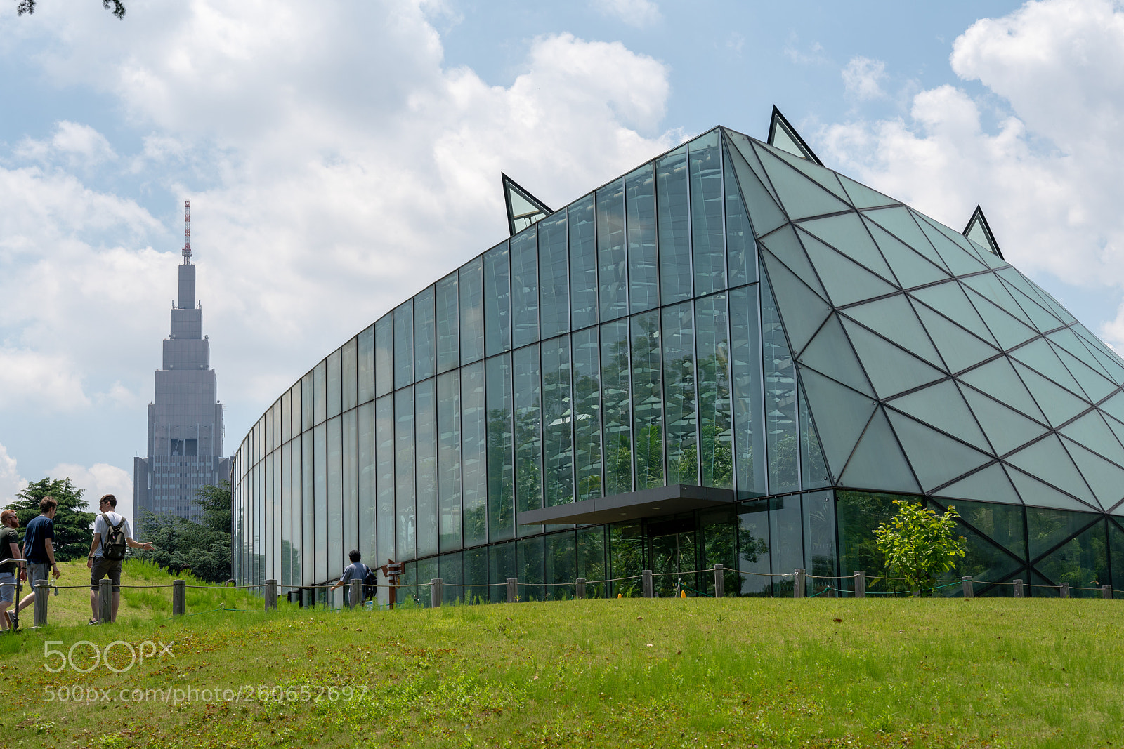 Sony a7R II sample photo. Shinjyuku gyoen photography