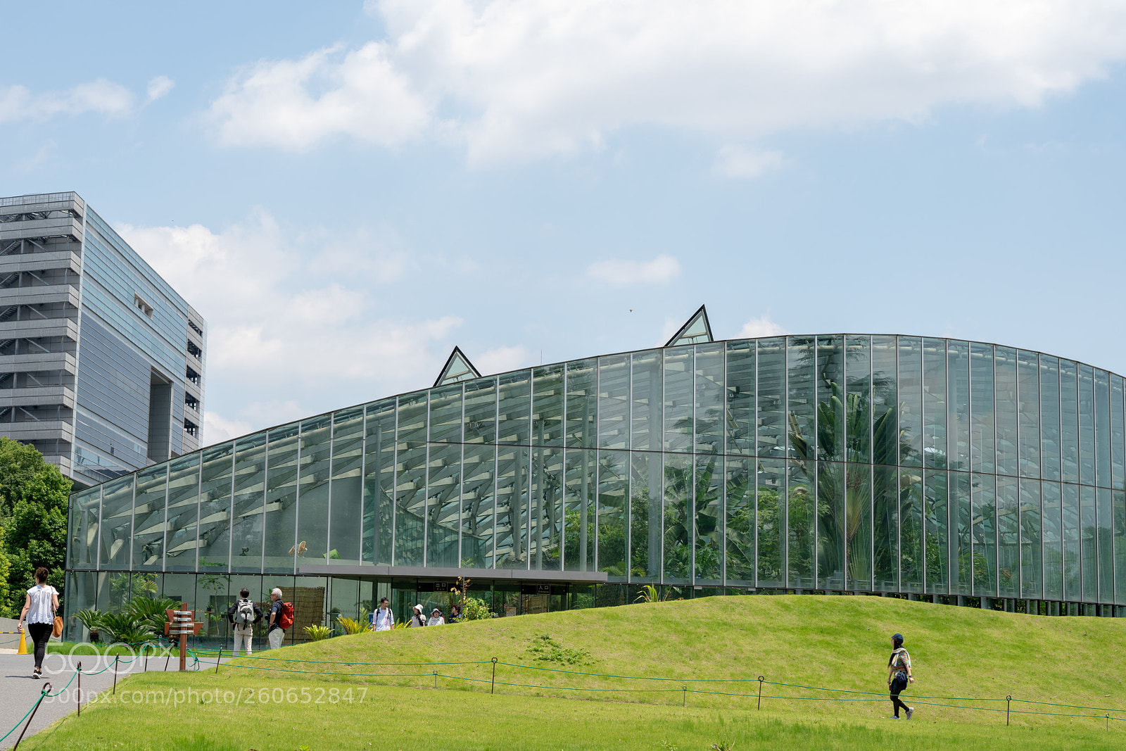 Sony a7R II sample photo. Shinjyuku gyoen photography