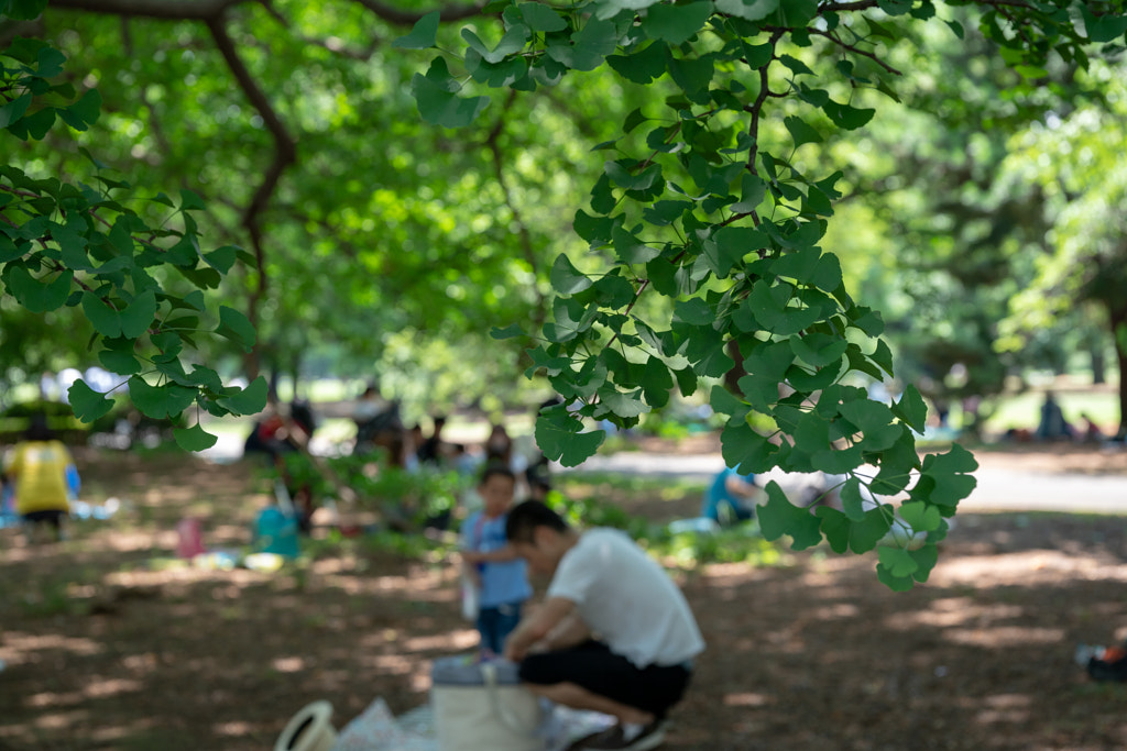 500px.comのfotois youさんによるShinjyuku Gyoen