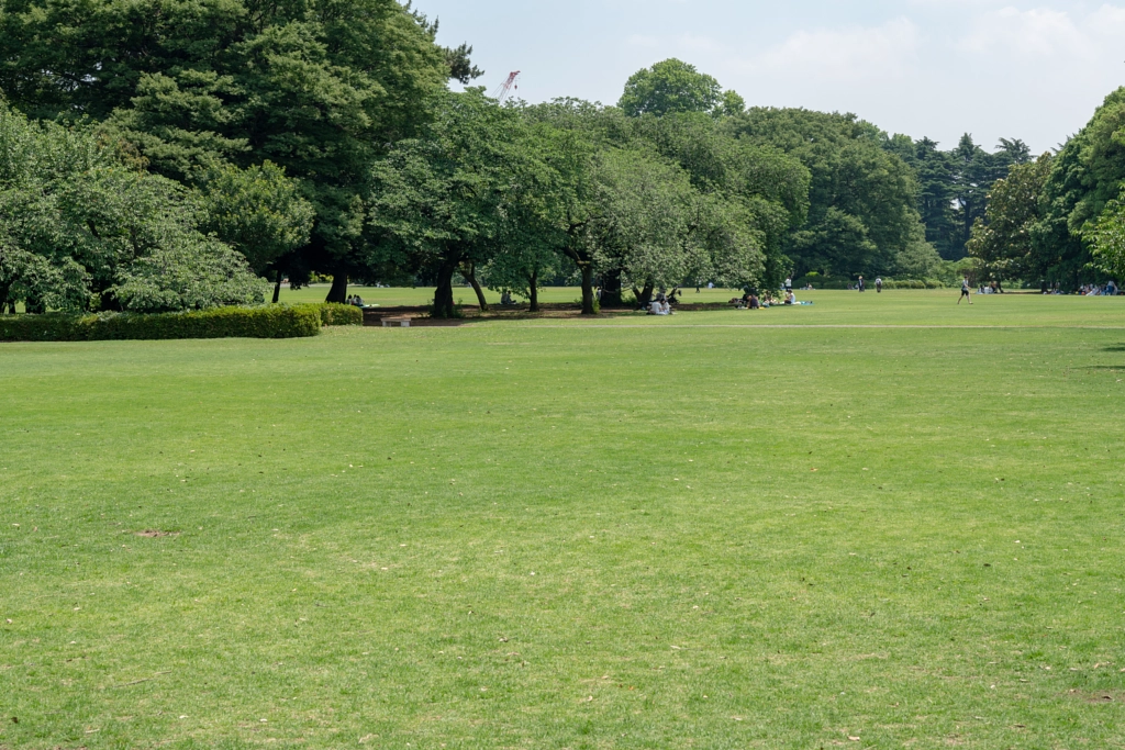 500px.comのfotois youさんによるShinjyuku Gyoen