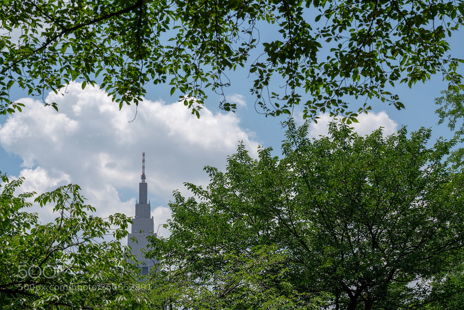 Sony a7R II sample photo. Shinjyuku gyoen photography