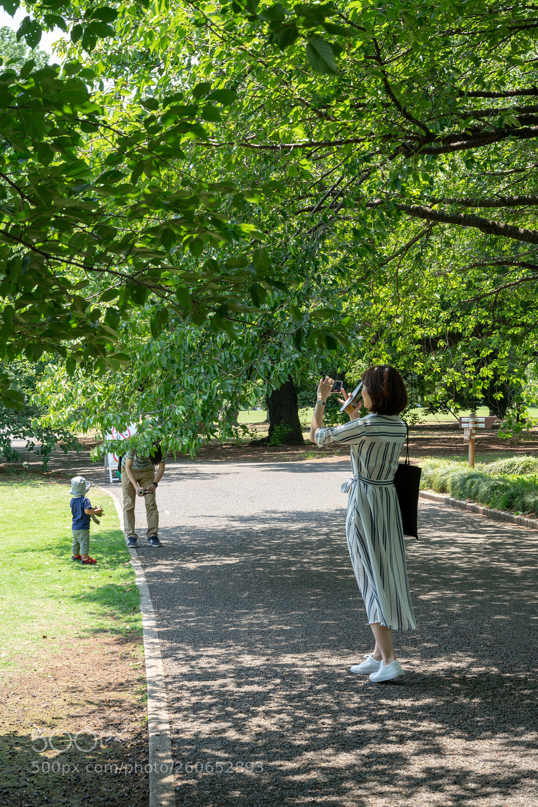 Sony a7R II sample photo. Shinjyuku gyoen photography